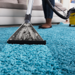 Refresh Your Carpets with Expert Care